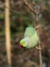IMG 8705