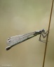 IMG 7969HD